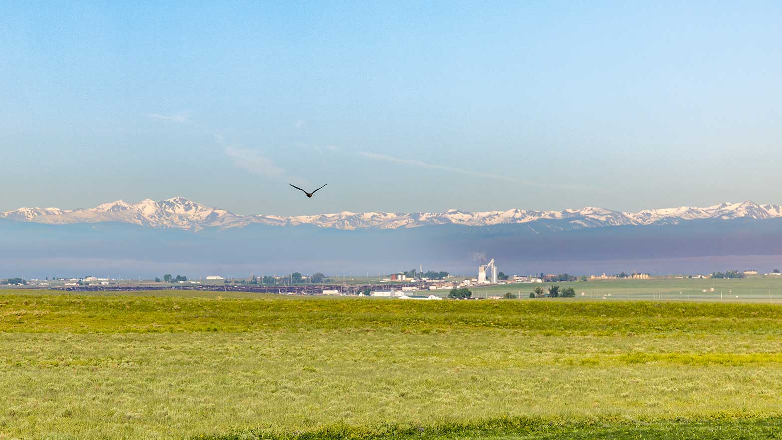 Art Guttersen said his ranch land near Greeley, Colorado, likely would have been sold and rezoned for housing if mineral rights hadn’t helped subsidize his income.