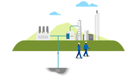 Carbon storage illustration